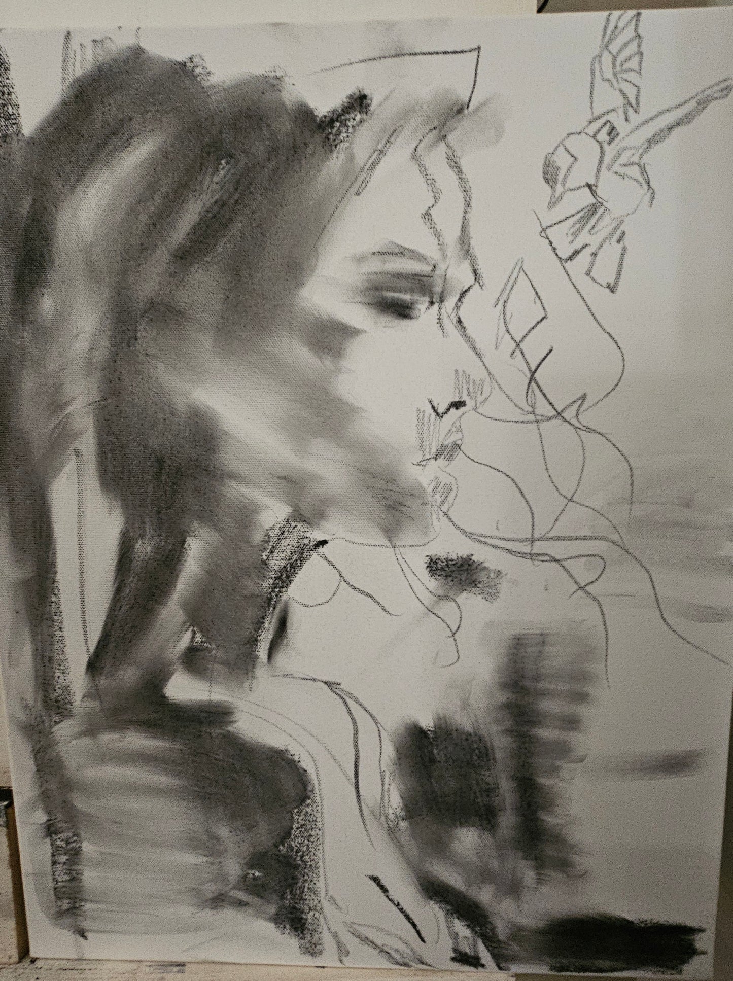 Charcoal 5